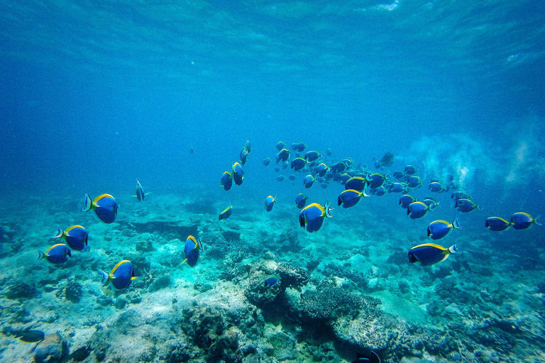 Maldives Travel Photographer