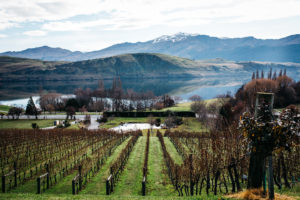 Stoneridge Estate Wedding venue Queenstown