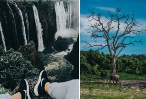 Victoria Falls and Chobe National Park