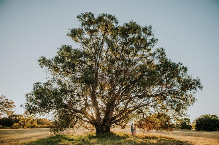 Swan Valley Caversham Engagement Photos by Perth wedding photographer Kate Drennan.