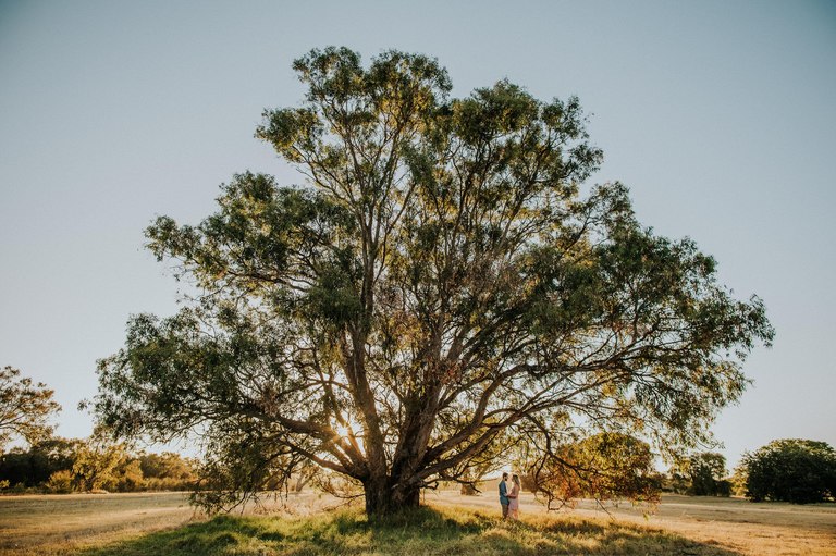 333 Kate Drennan Photography Best of Perth Queenstown 2019
